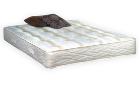 Staples Pocket Ortho Mattress Mattress Online